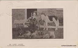 Lauder 184